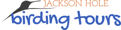 Jackson Hole Birding Tours Logo